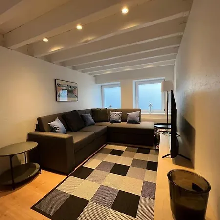 Grand Triplex D'architecte En Hypercentre Apartment