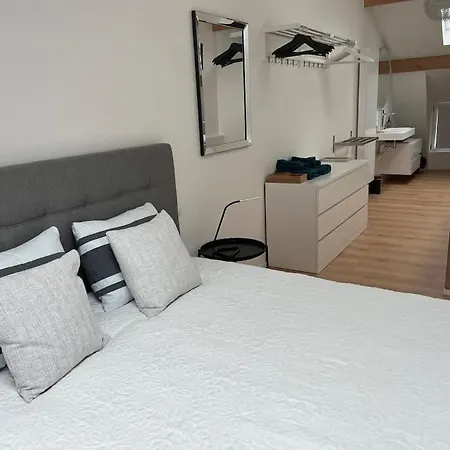 Grand Triplex D'architecte En Hypercentre לייז'