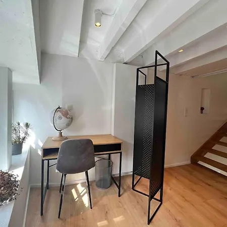 Grand Triplex D'architecte En Hypercentre לייז'