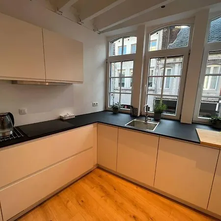 Grand Triplex D'architecte En Hypercentre Appartement Luik