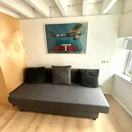 Grand Triplex D'architecte En Hypercentre Apartment