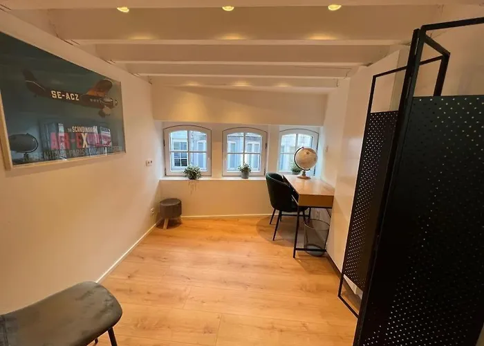 Grand Triplex D'architecte En Hypercentre Liege