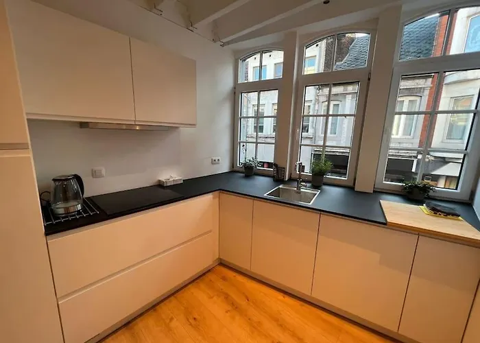 Grand Triplex D'architecte En Hypercentre