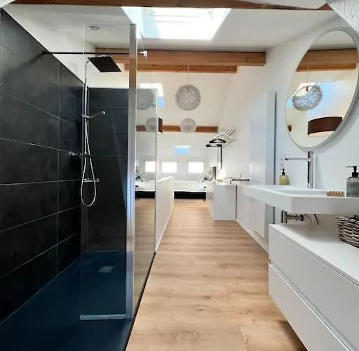 Grand Triplex D'architecte En Hypercentre Liege