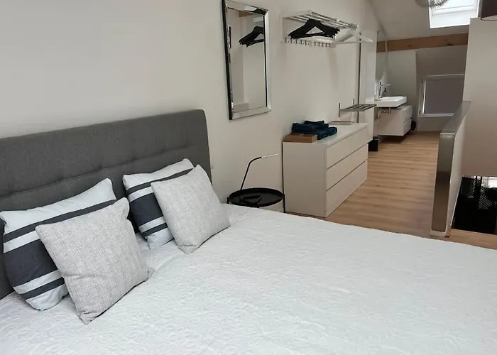 Grand Triplex D'architecte En Hypercentre Liege