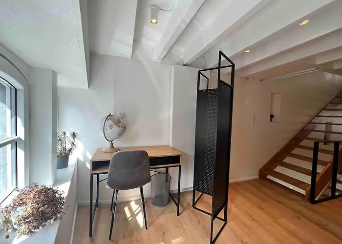 Grand Triplex D'architecte En Hypercentre Liege