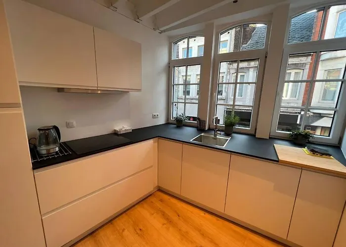 Grand Triplex D'architecte En Hypercentre Apartment Liege