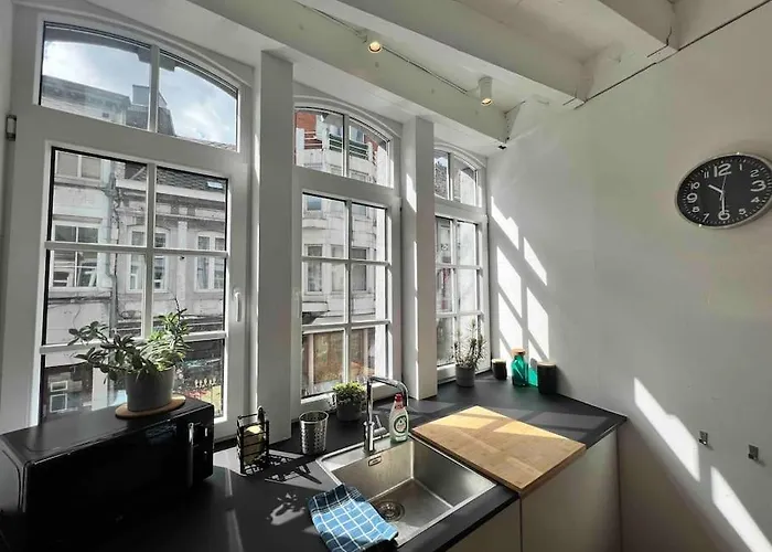 Grand Triplex D'architecte En Hypercentre *